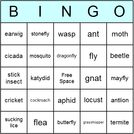 Insects Bingo Cards 6.01